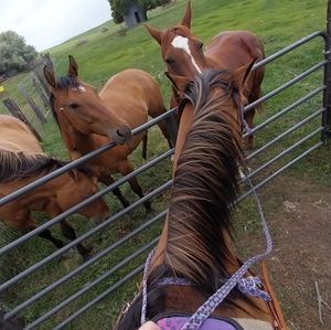 Meet your Posher, Brylee